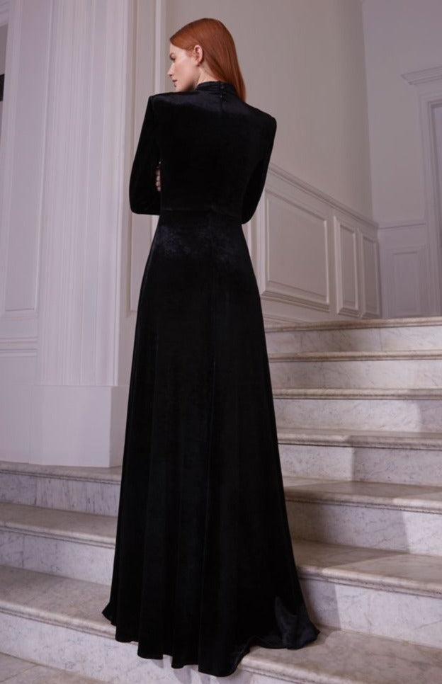 Sheer Black Long Velvet Gown with Long Sleeves for Prom