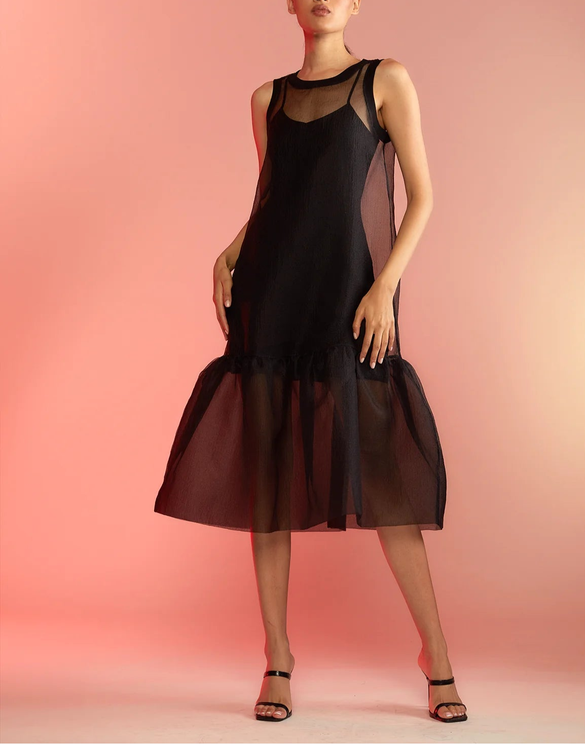Sheer Black Organza Dress Evening Dinner Party Wear