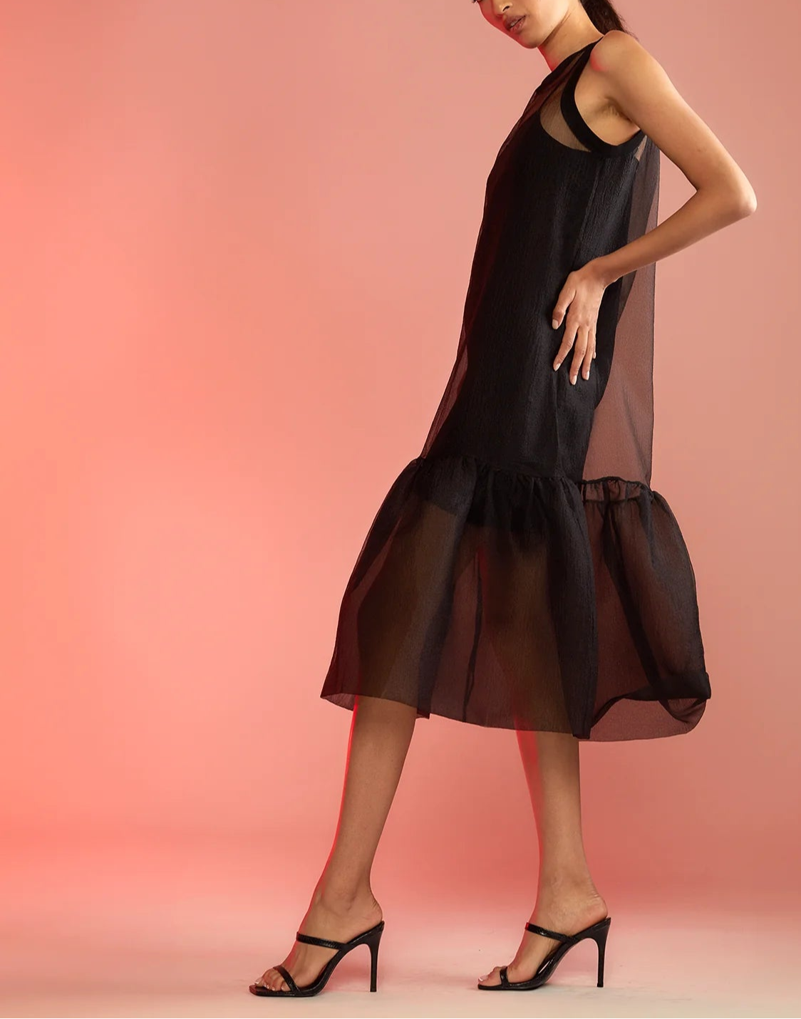 Sheer Black Organza Dress Evening Dinner Party Wear