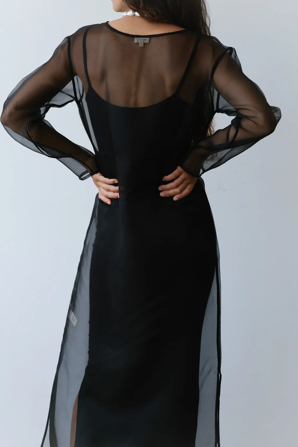 Black Sheer Organza Overlay Maxi Dress with Long Sleeves